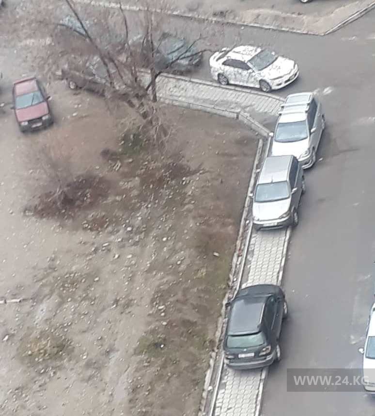 Чудаки парковки