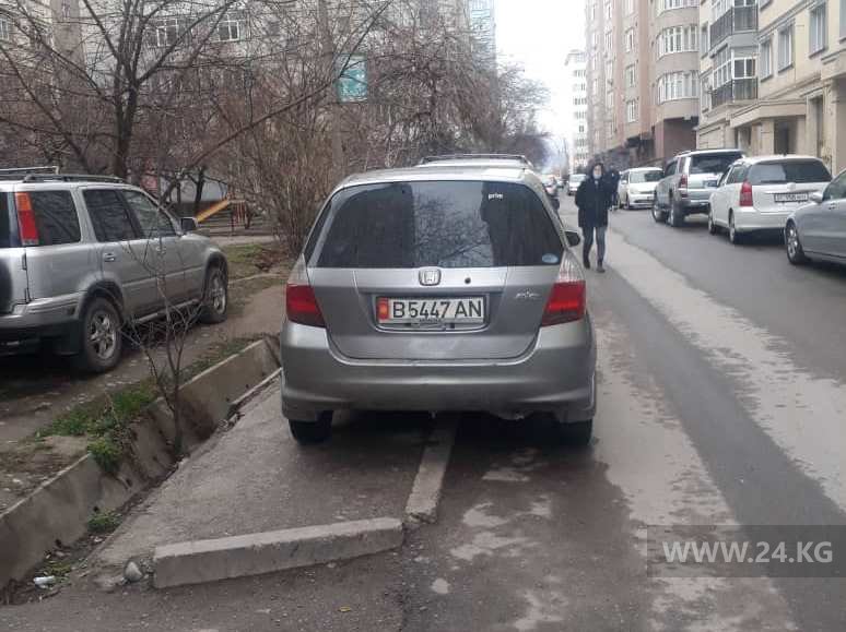 Чудаки парковки