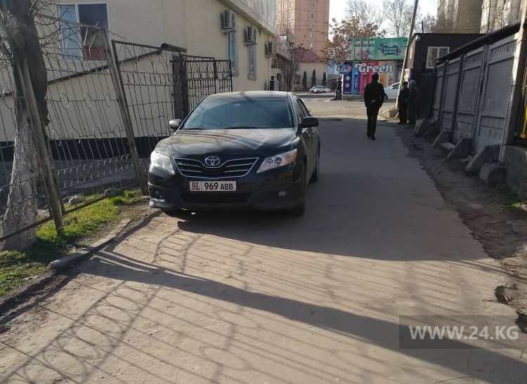 Чудаки парковки