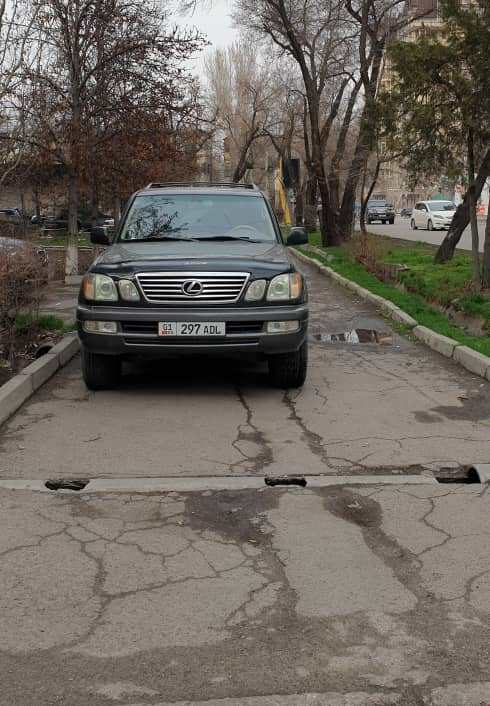 Чудаки парковки