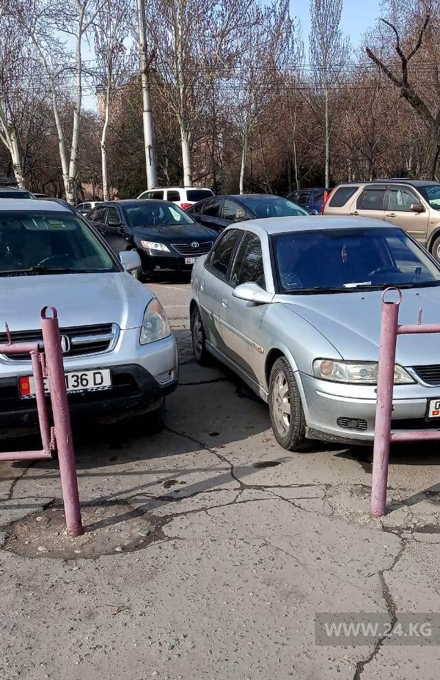 Чудаки парковки