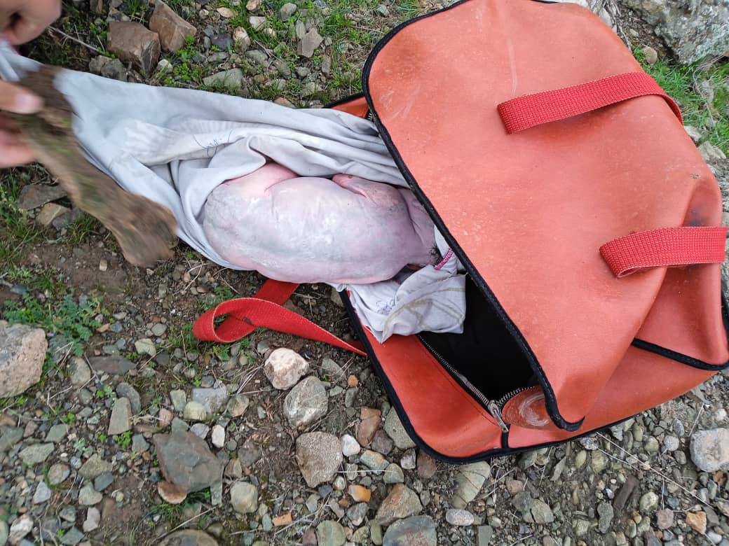 Тело мертвого новорожденного ребенка нашли в Кадамджайском районе
