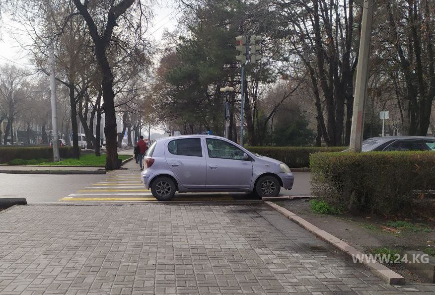 Чудаки парковки