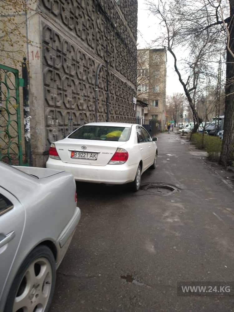 Чудаки парковки