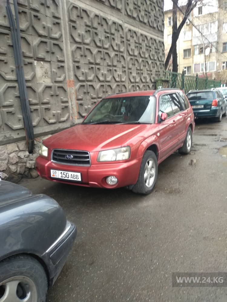 Чудаки парковки