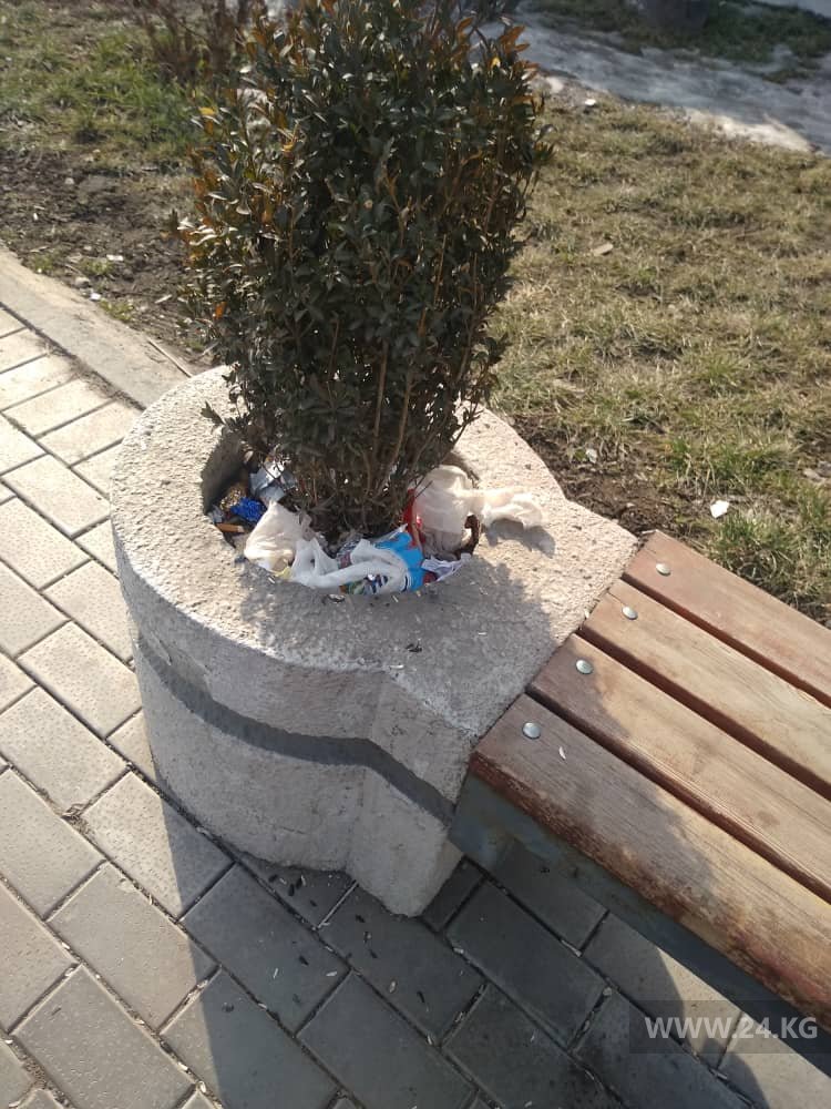 Cквер в микрорайоне «Джал»