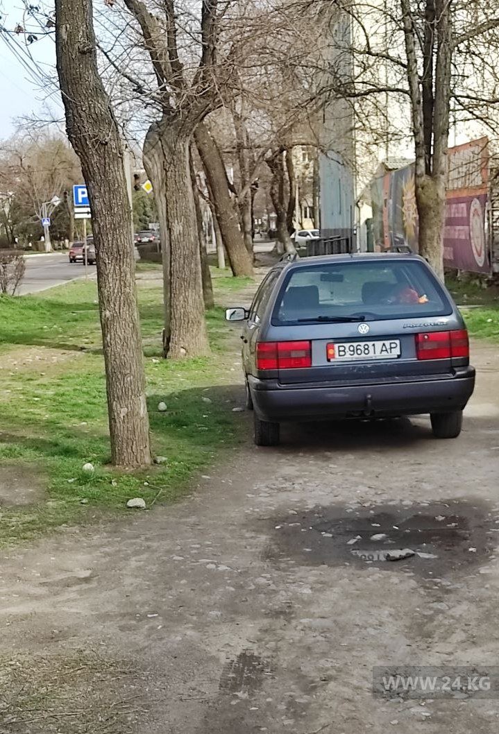 Чудаки парковки