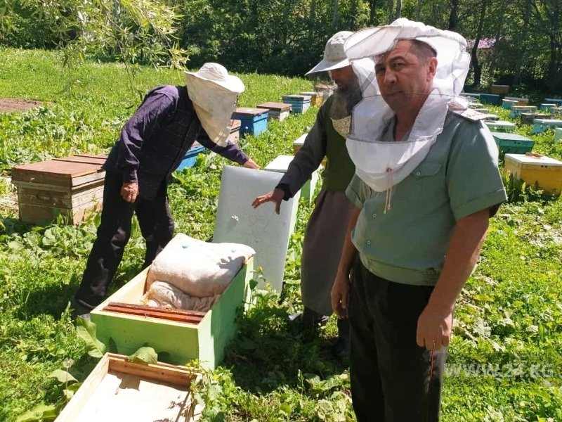 Пасеки в год приносят 2 тонны меда