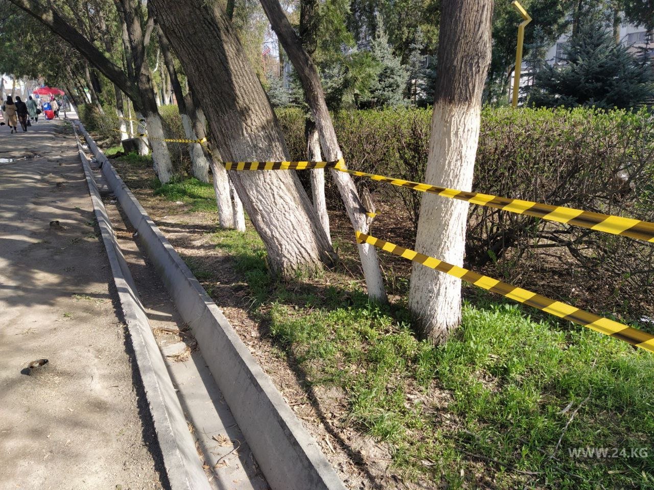 На месте снесенного вокруг КГМА забора появилась каперная лента