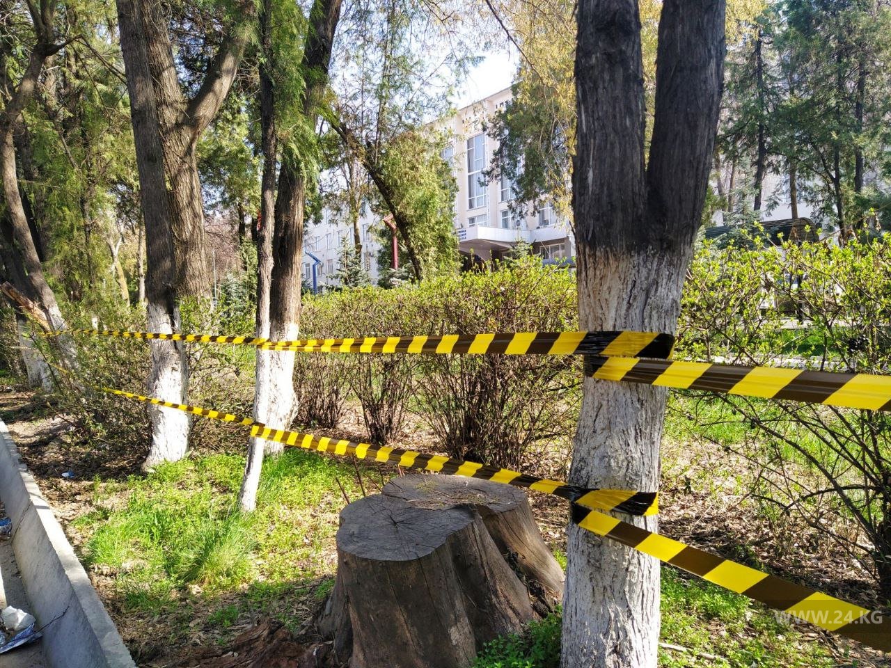 На месте снесенного вокруг КГМА забора появилась каперная лента