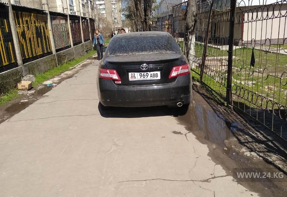 Чудаки парковки