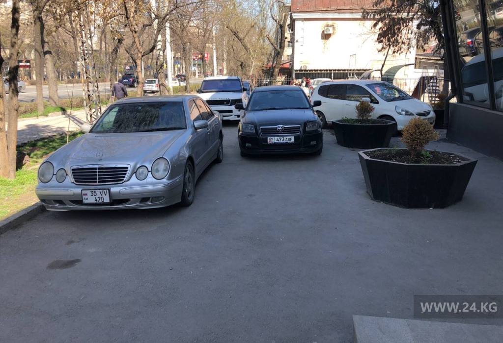 Чудаки парковки