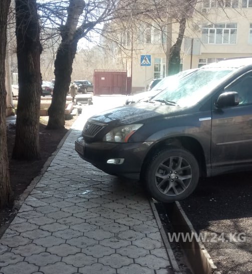 Чудаки парковки