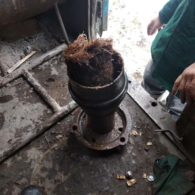 Корни дерева, проросшие в водопровод