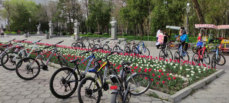 Горожанин просит соответствующие службы обратить внимание на облик столицы