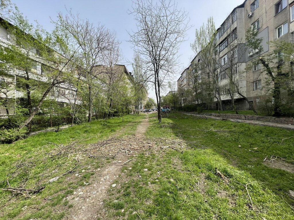 В Бишкеке на улице Сыдыкова вырубили 46 деревьев