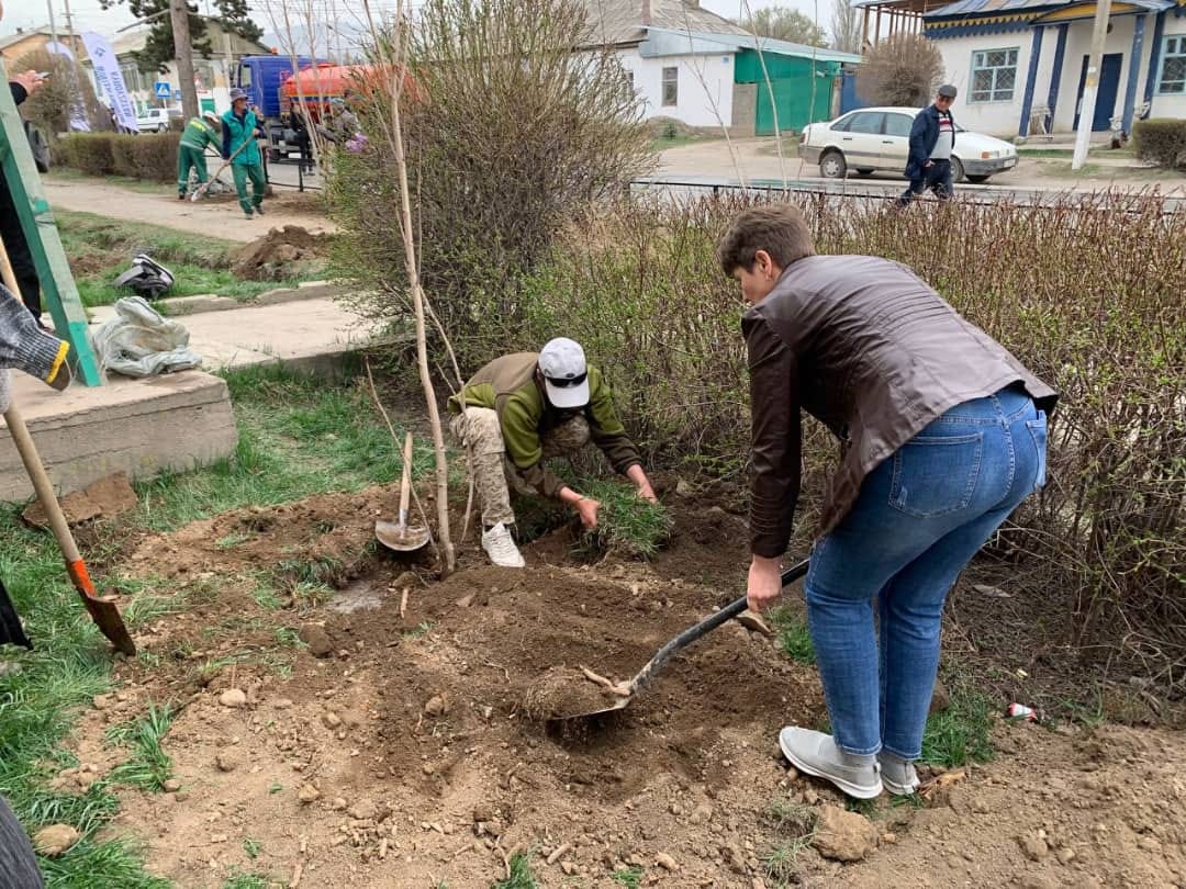 В Караколе высадили более 600 цветущих и плодовых деревьев