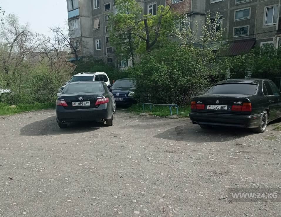 Чудаки парковки