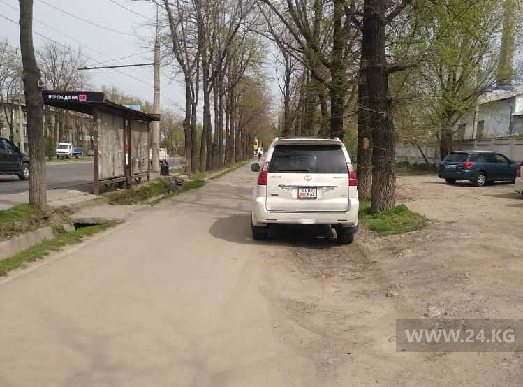 Чудаки парковки