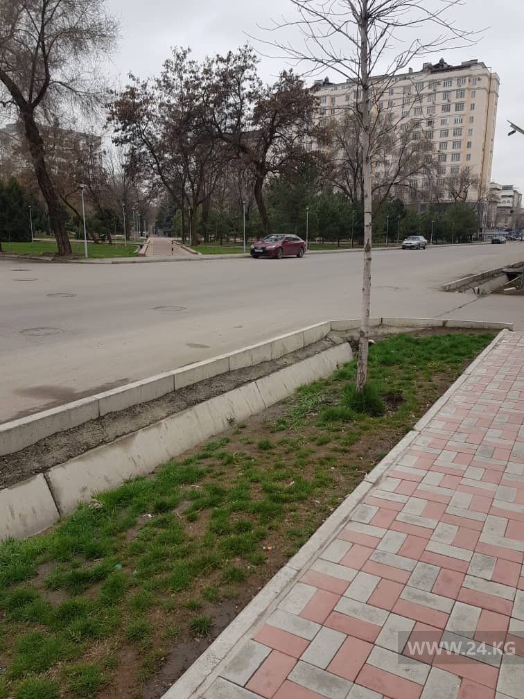Улица Рыскулова