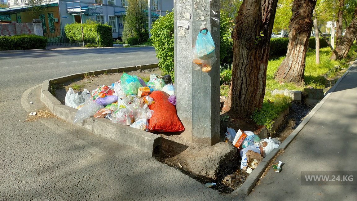 Мусор по улице Московской