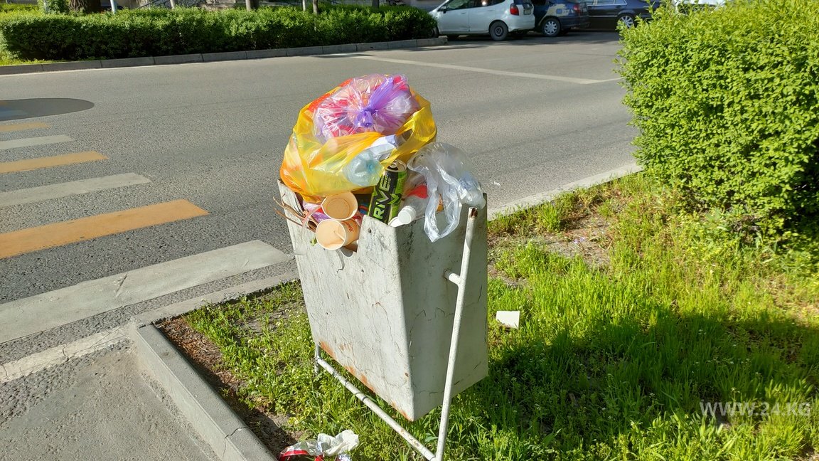 Переполненная урна