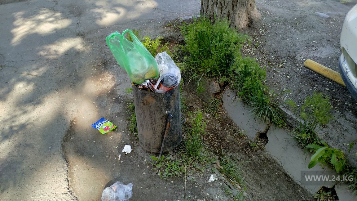 Переполненная урна