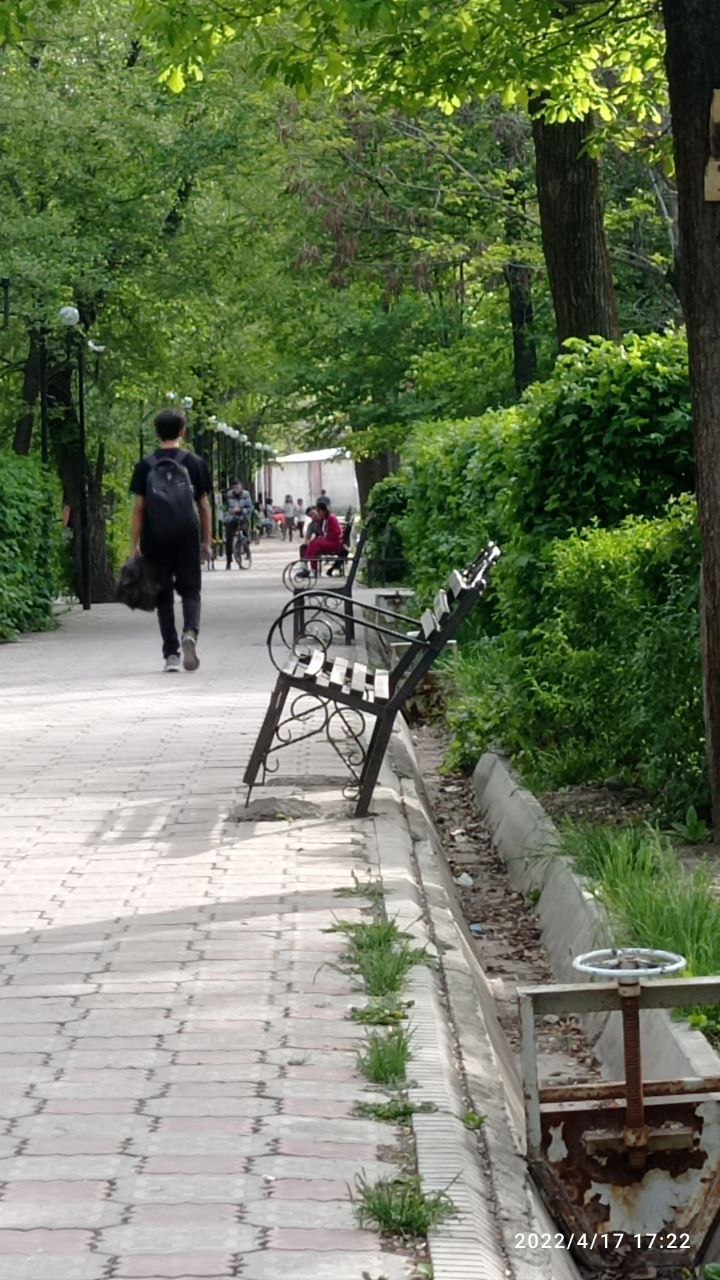 В сквере на пересечении улиц Айни и Бакаева сломаны скамейки