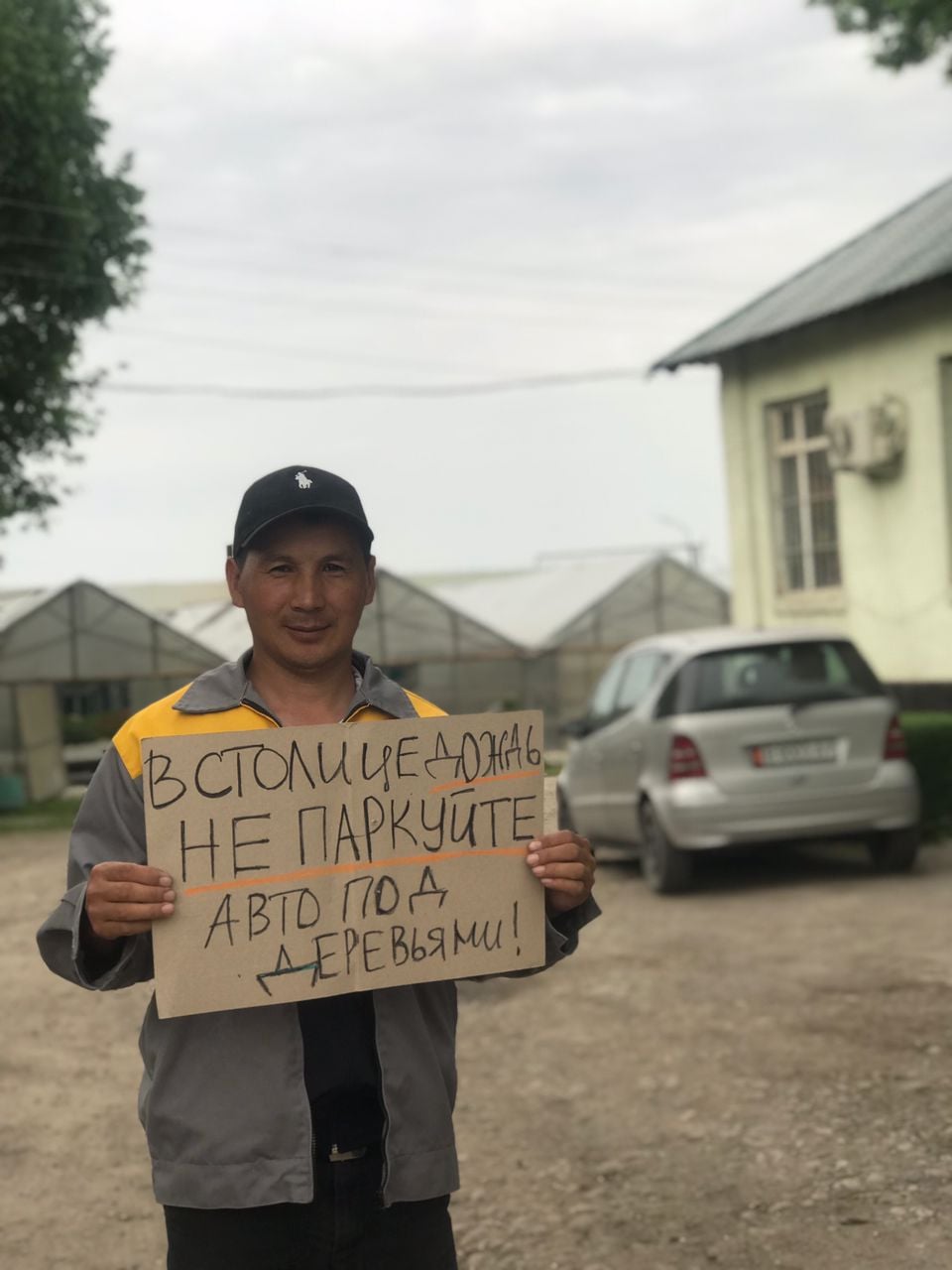Рабочие предприятия призывают не парковаться под деревьями