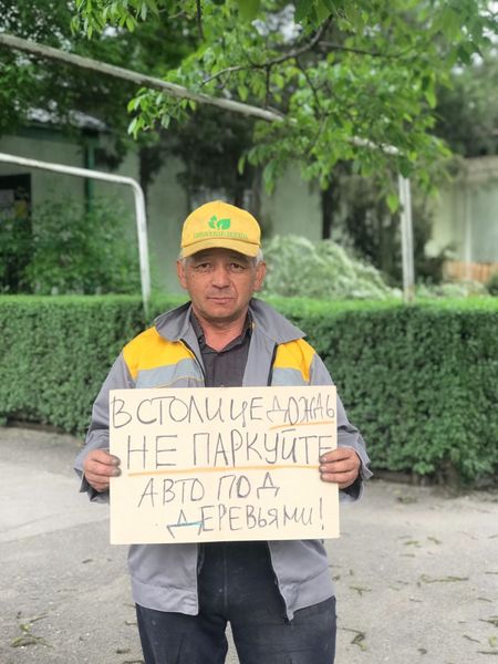 Рабочие предприятия призывают не парковаться под деревьями