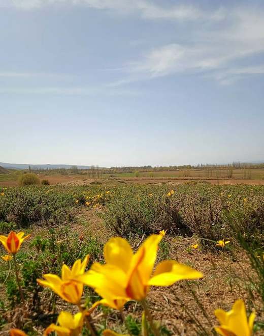 Село Кызыл-Суу