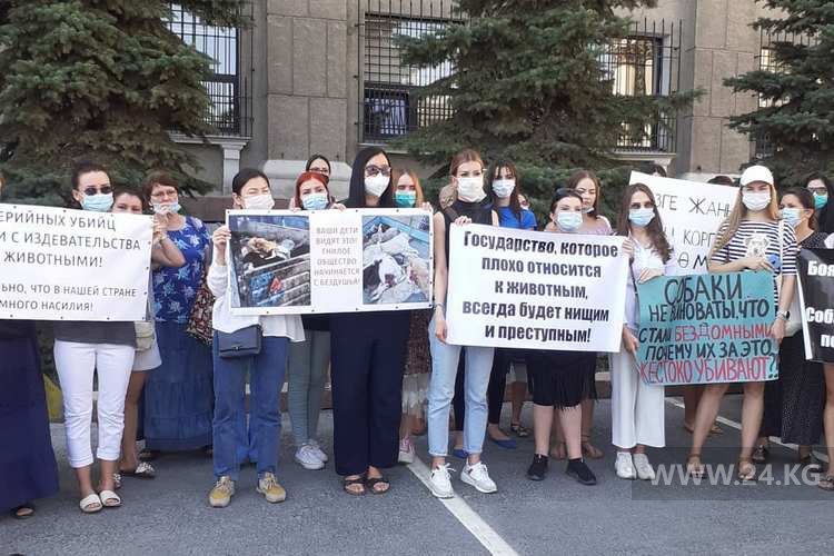 Митинг зоозащитников возле мэрии Бишкека