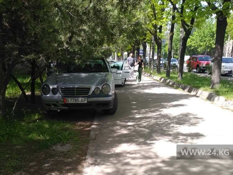 Чудаки парковки