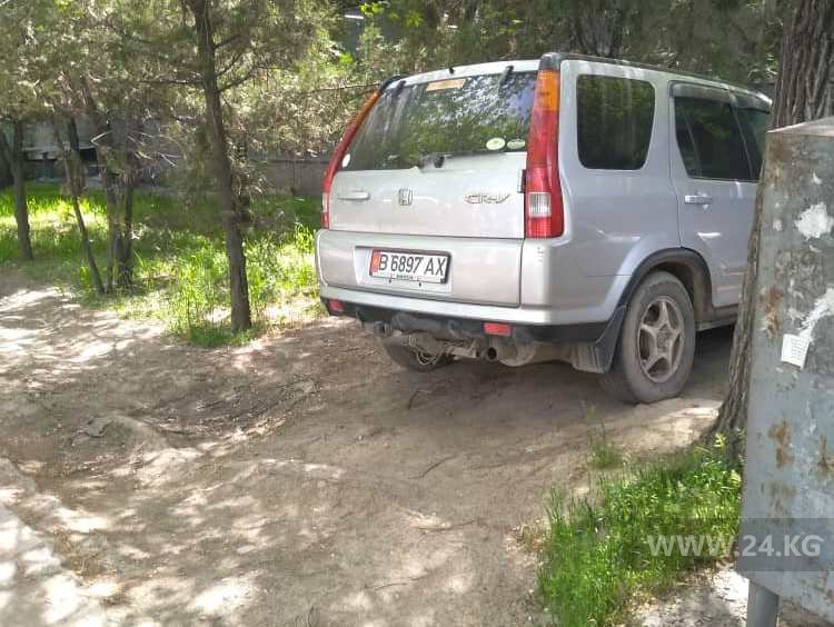 Чудаки парковки