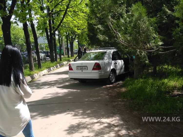 Чудаки парковки