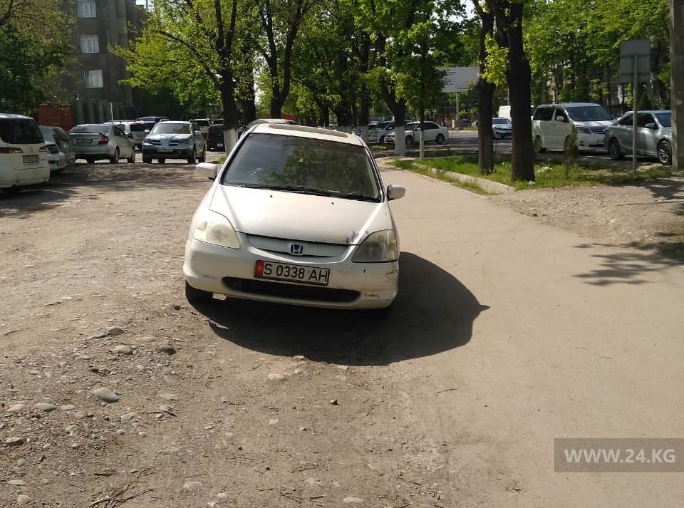 Чудаки парковки
