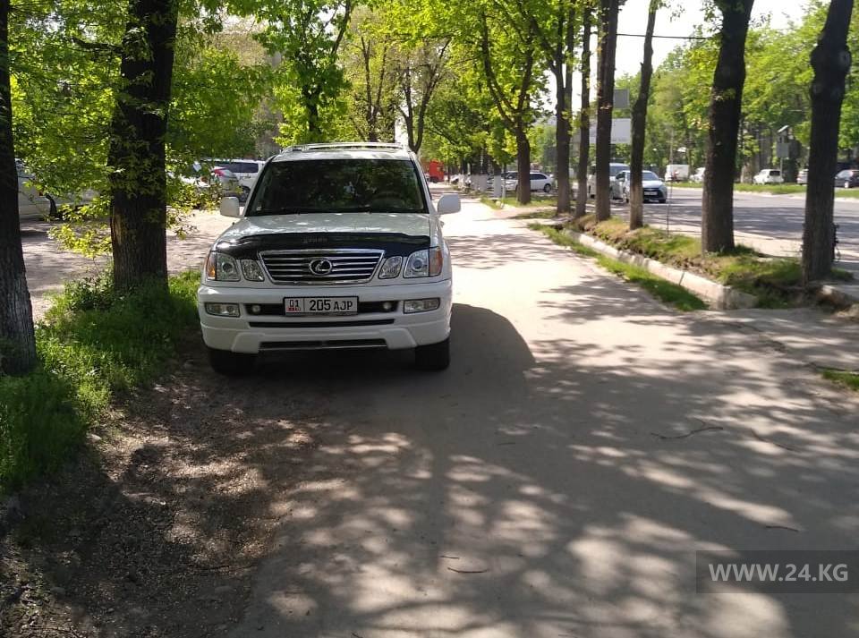 Чудаки парковки