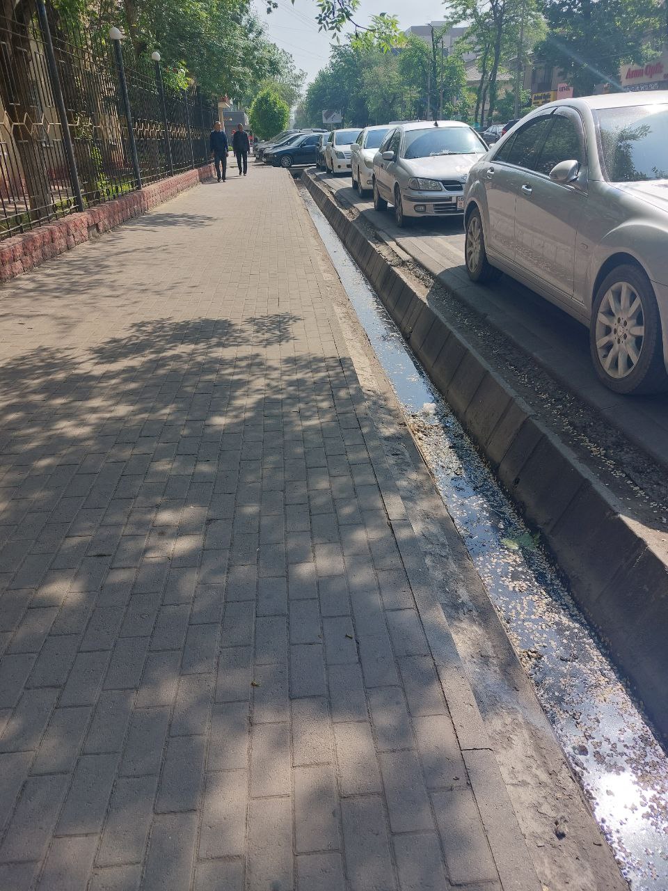 На неприятный запах из арыков жалуются жители Бишкека