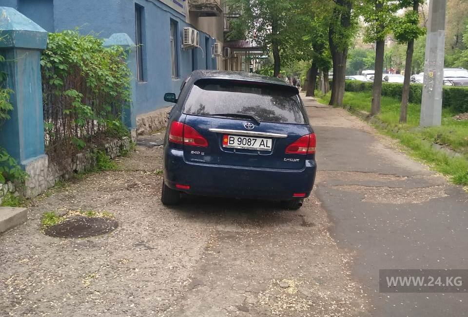 Чудаки парковки