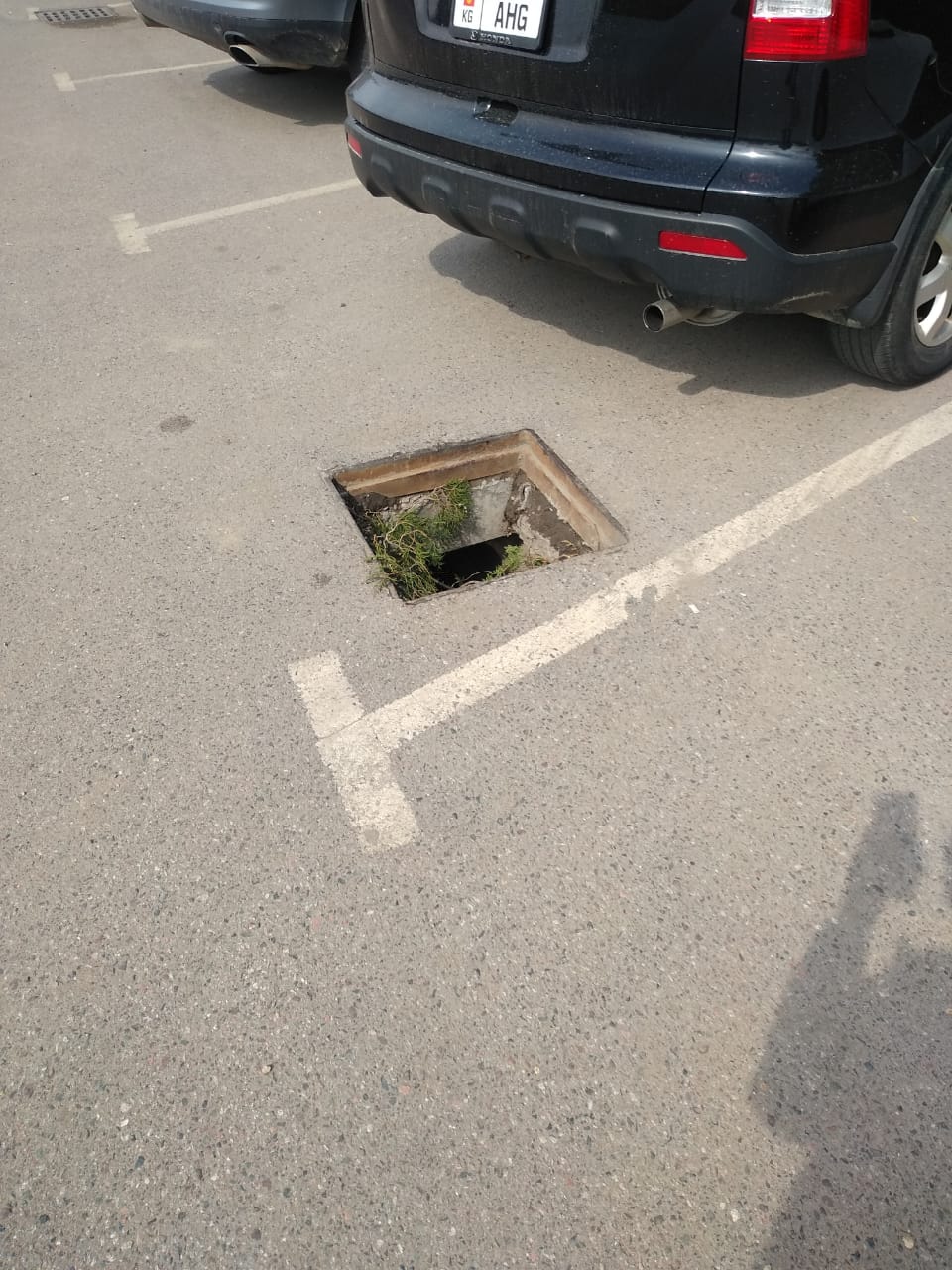 На улице Валиханова украли решетки