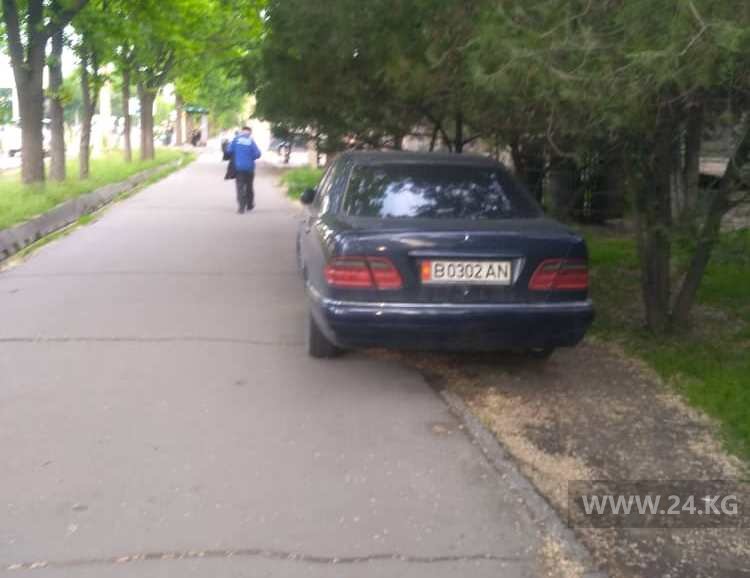 Чудаки парковки