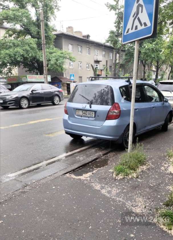 Чудаки парковки