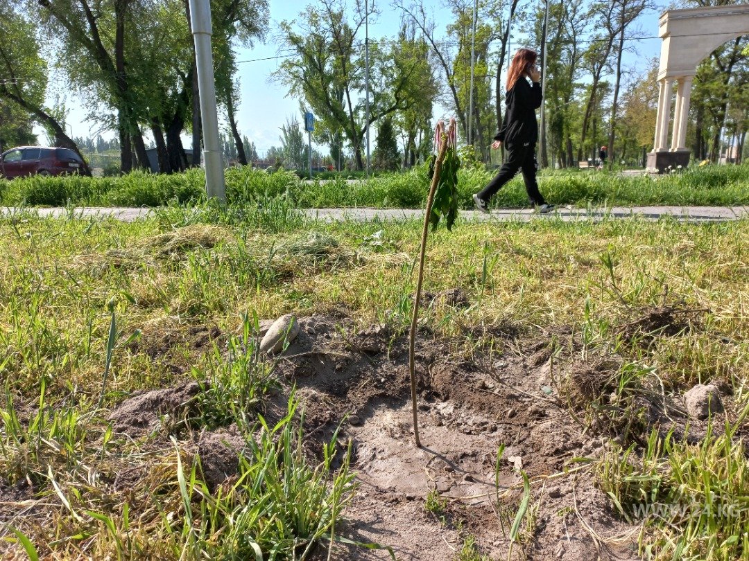 Парк в Бишкеке