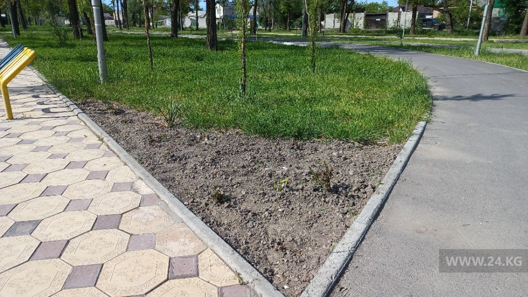 Парк в Бишкеке