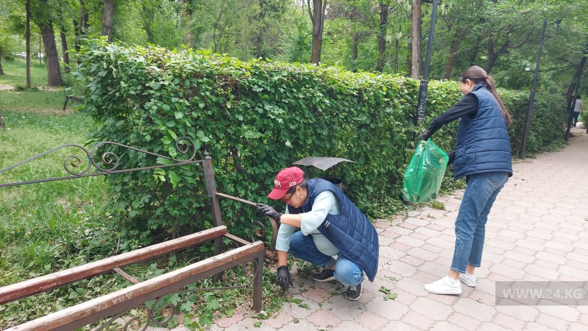Субботник в парке