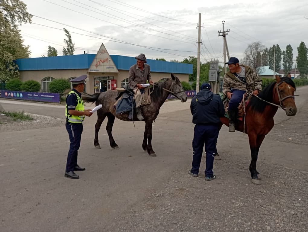В Московском районе учат перегонять скот через дорогу