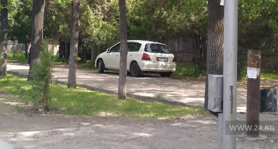 Чудаки парковки