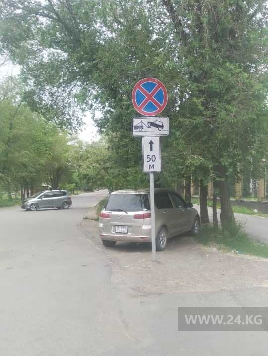 Чудаки парковки