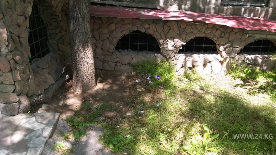 Мусор возле Дворца бракосочетания