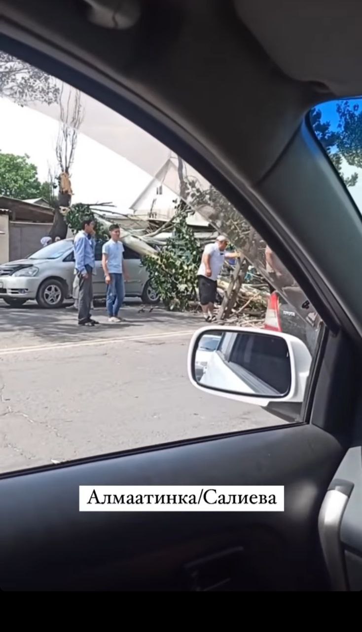 Дерево упало на автомобиль